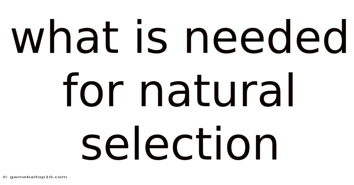 What Is Needed For Natural Selection
