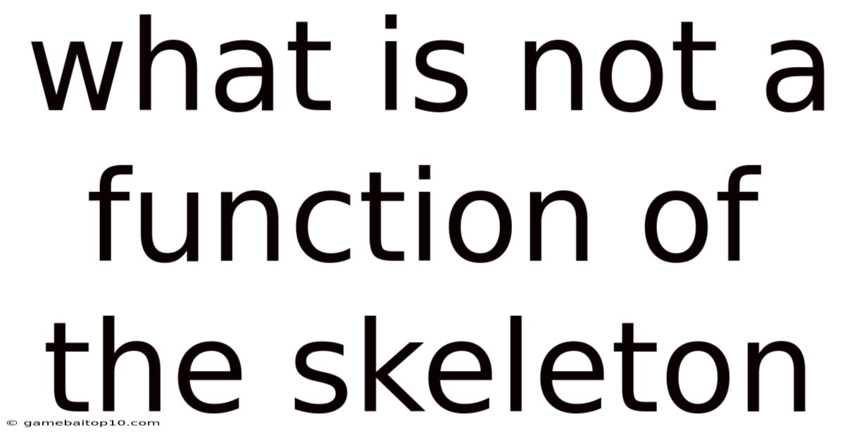 What Is Not A Function Of The Skeleton