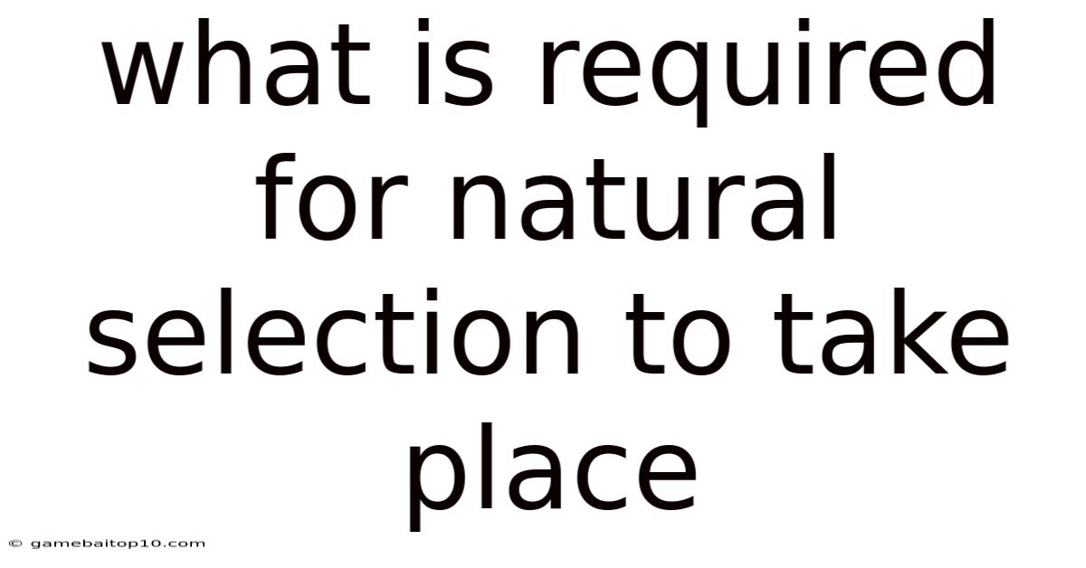 What Is Required For Natural Selection To Take Place