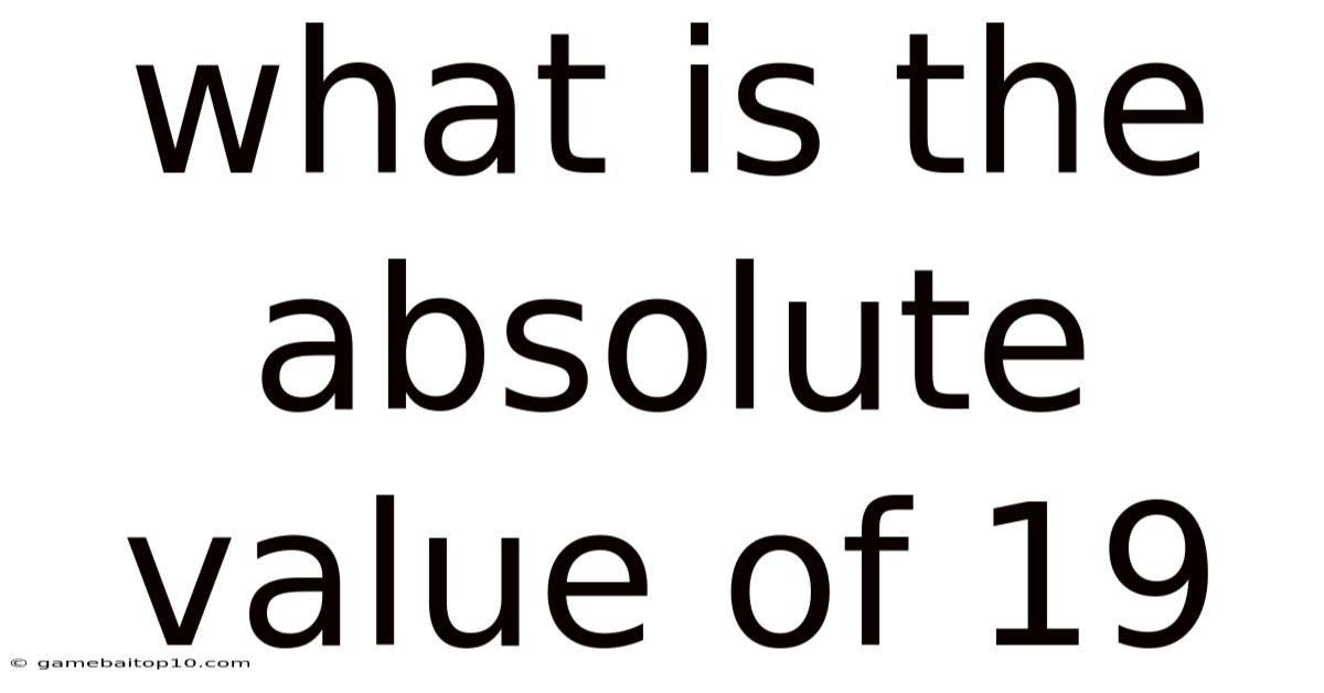 What Is The Absolute Value Of 19