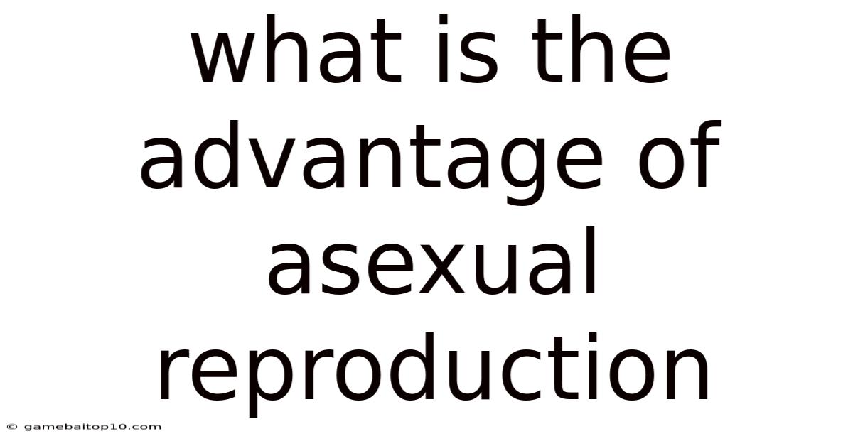 What Is The Advantage Of Asexual Reproduction