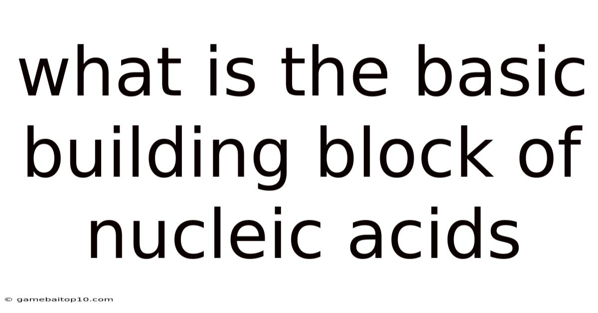 What Is The Basic Building Block Of Nucleic Acids