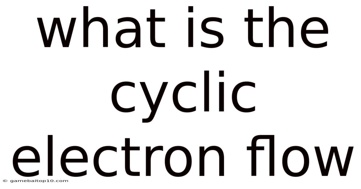 What Is The Cyclic Electron Flow