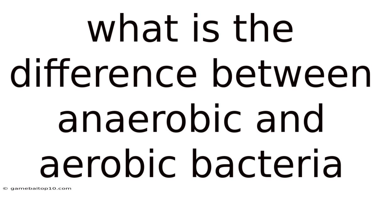 What Is The Difference Between Anaerobic And Aerobic Bacteria