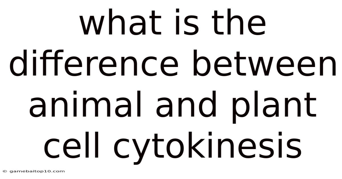 What Is The Difference Between Animal And Plant Cell Cytokinesis