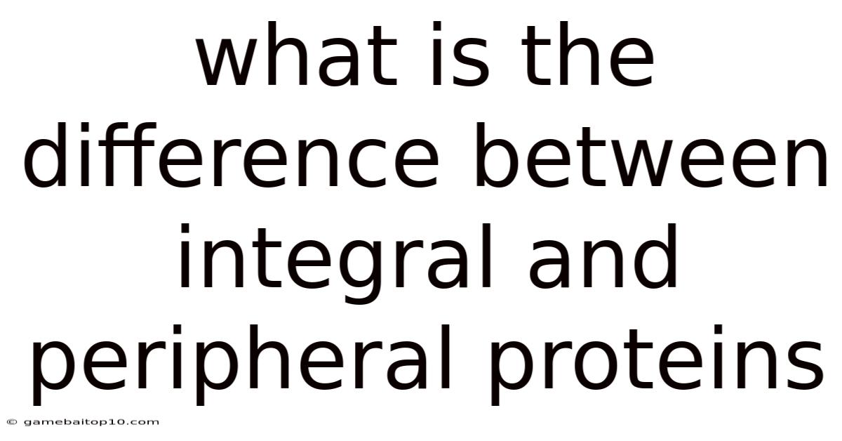 What Is The Difference Between Integral And Peripheral Proteins