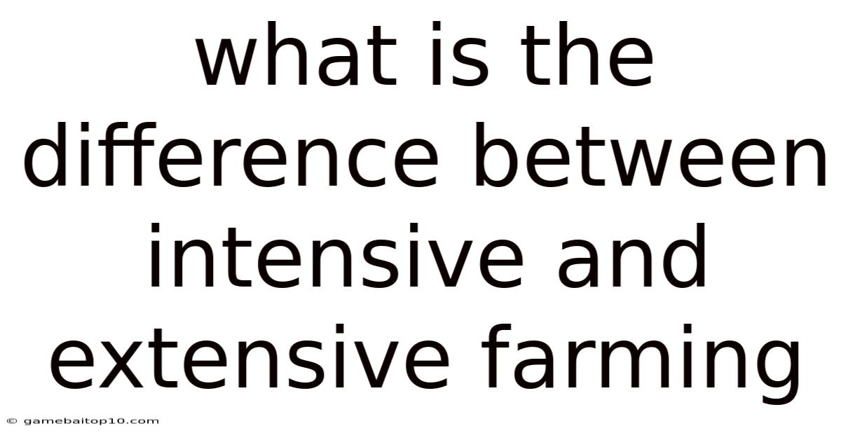 What Is The Difference Between Intensive And Extensive Farming