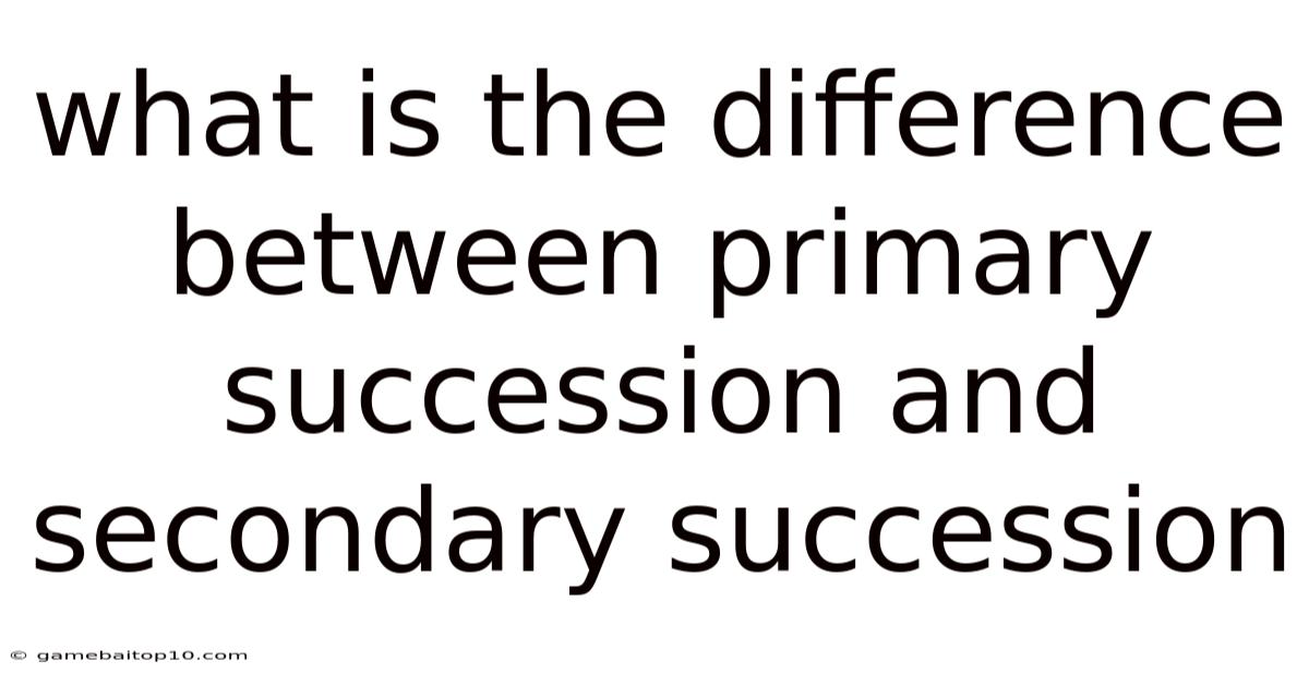 What Is The Difference Between Primary Succession And Secondary Succession