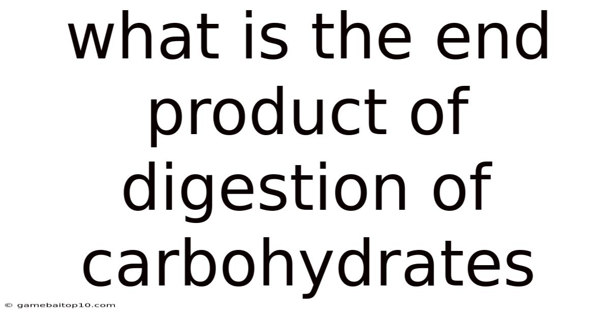 What Is The End Product Of Digestion Of Carbohydrates
