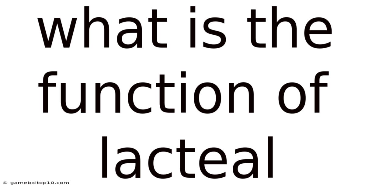 What Is The Function Of Lacteal