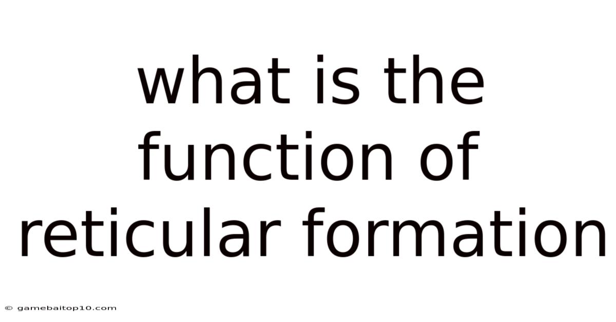 What Is The Function Of Reticular Formation