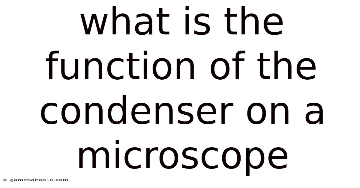 What Is The Function Of The Condenser On A Microscope