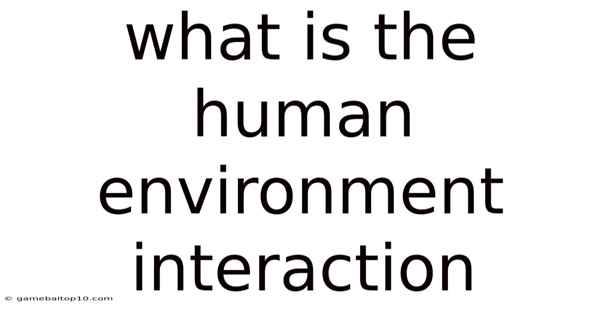 What Is The Human Environment Interaction