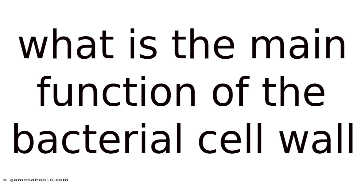 What Is The Main Function Of The Bacterial Cell Wall
