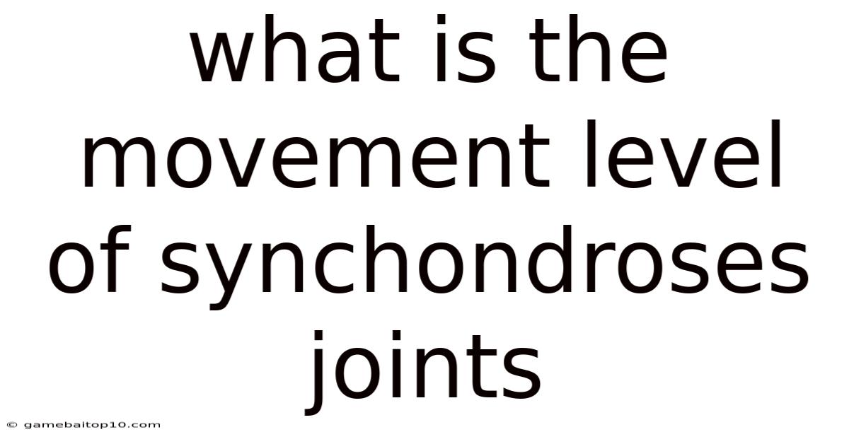 What Is The Movement Level Of Synchondroses Joints