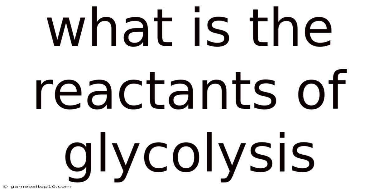 What Is The Reactants Of Glycolysis