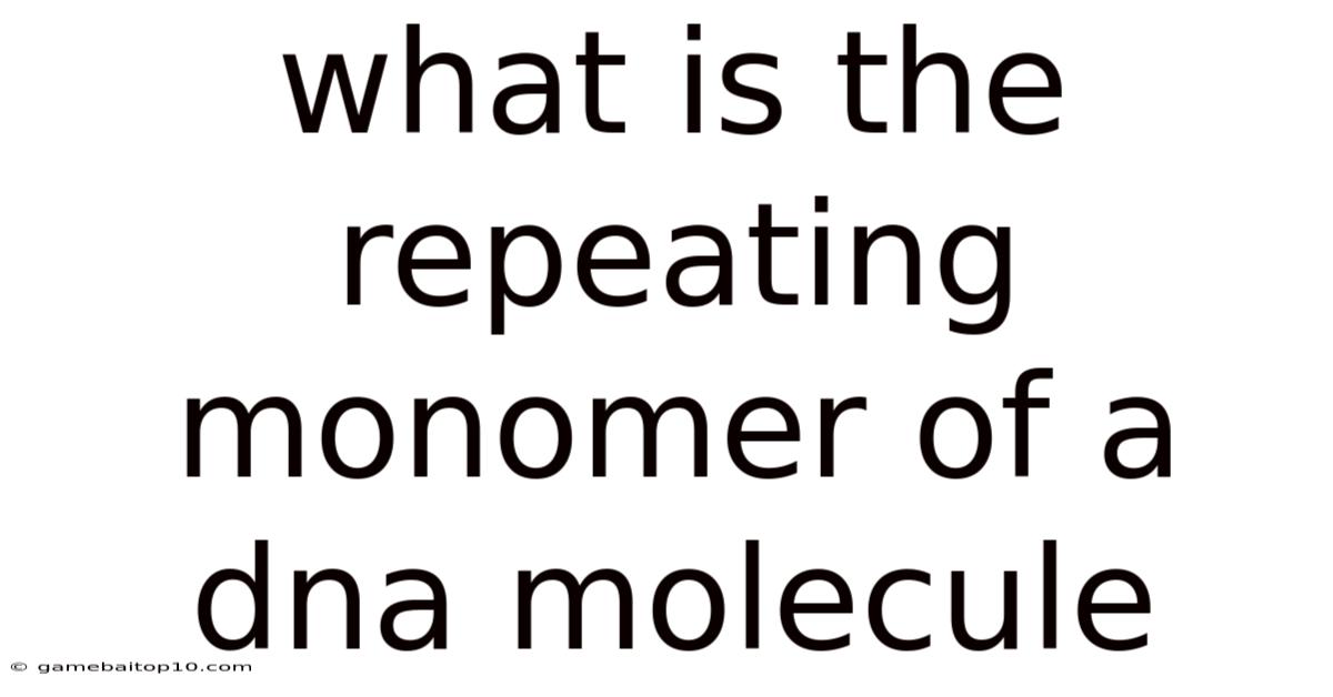 What Is The Repeating Monomer Of A Dna Molecule