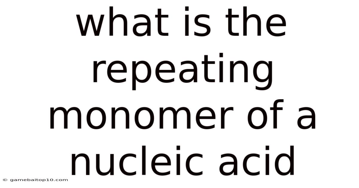 What Is The Repeating Monomer Of A Nucleic Acid