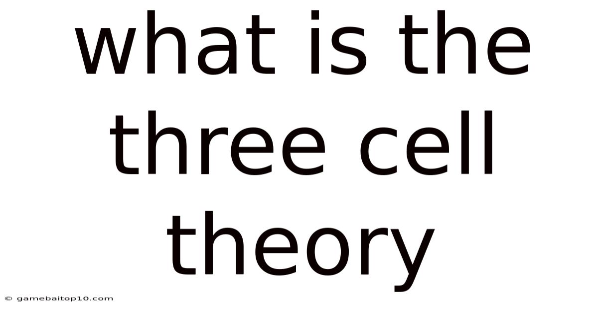What Is The Three Cell Theory