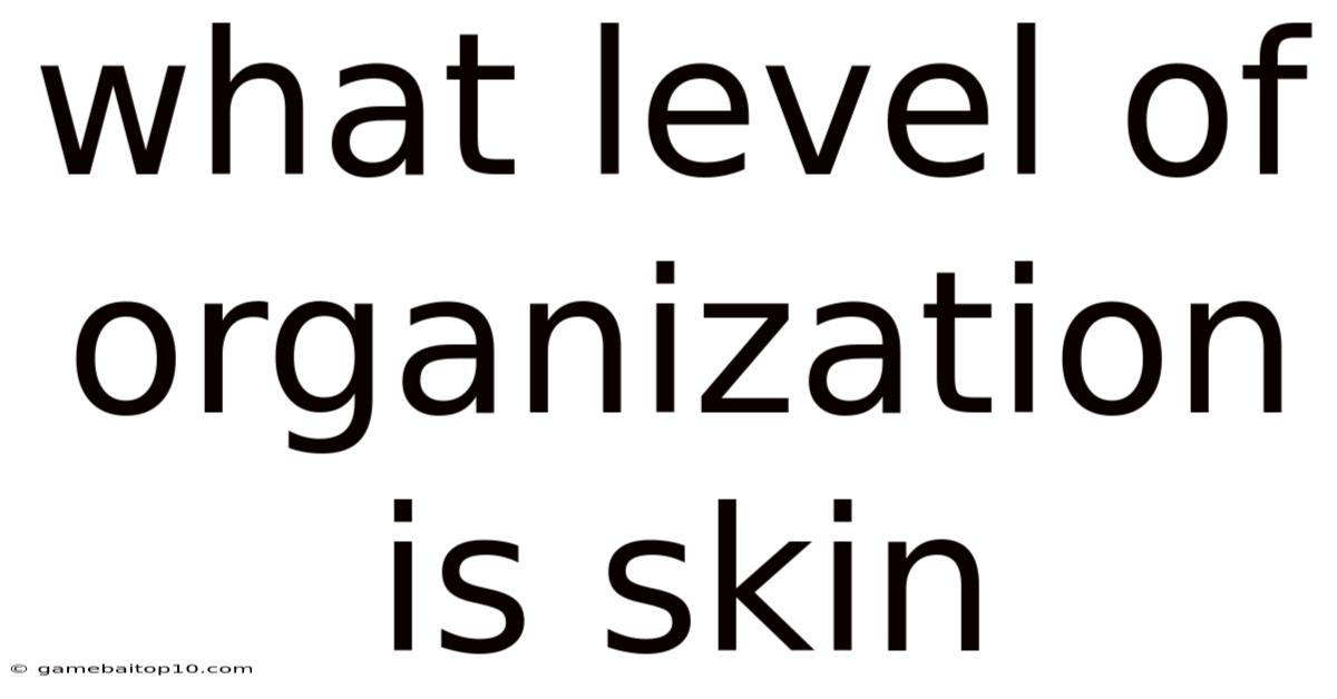 What Level Of Organization Is Skin