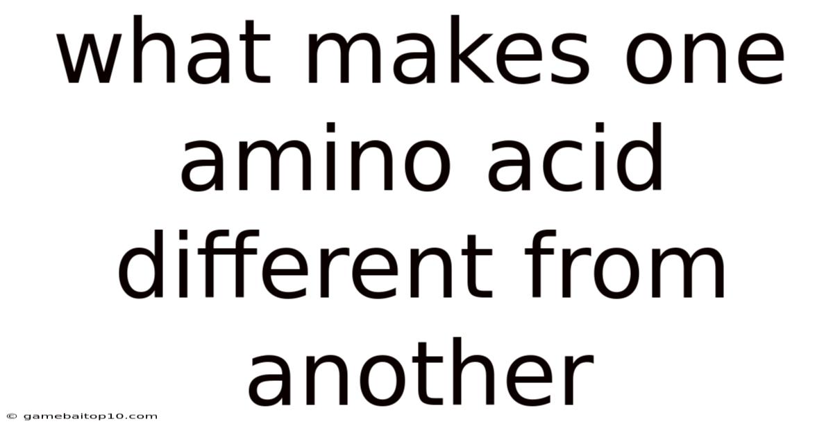 What Makes One Amino Acid Different From Another