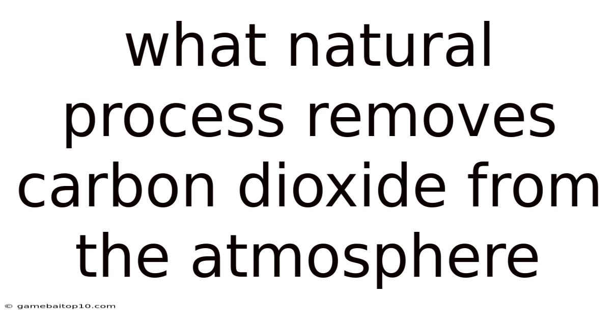 What Natural Process Removes Carbon Dioxide From The Atmosphere