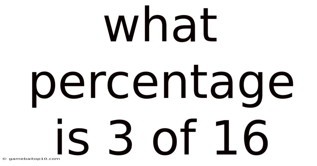What Percentage Is 3 Of 16