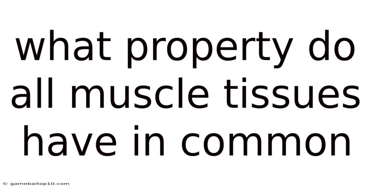 What Property Do All Muscle Tissues Have In Common