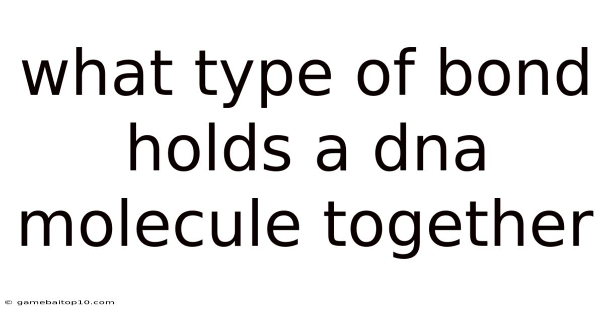 What Type Of Bond Holds A Dna Molecule Together