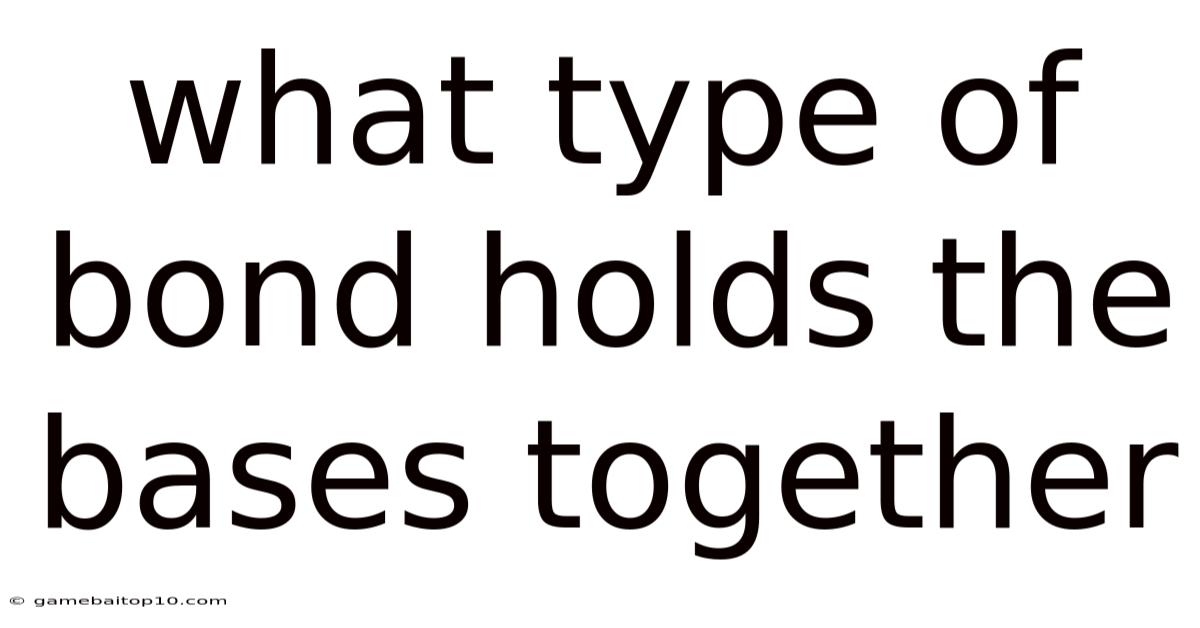 What Type Of Bond Holds The Bases Together