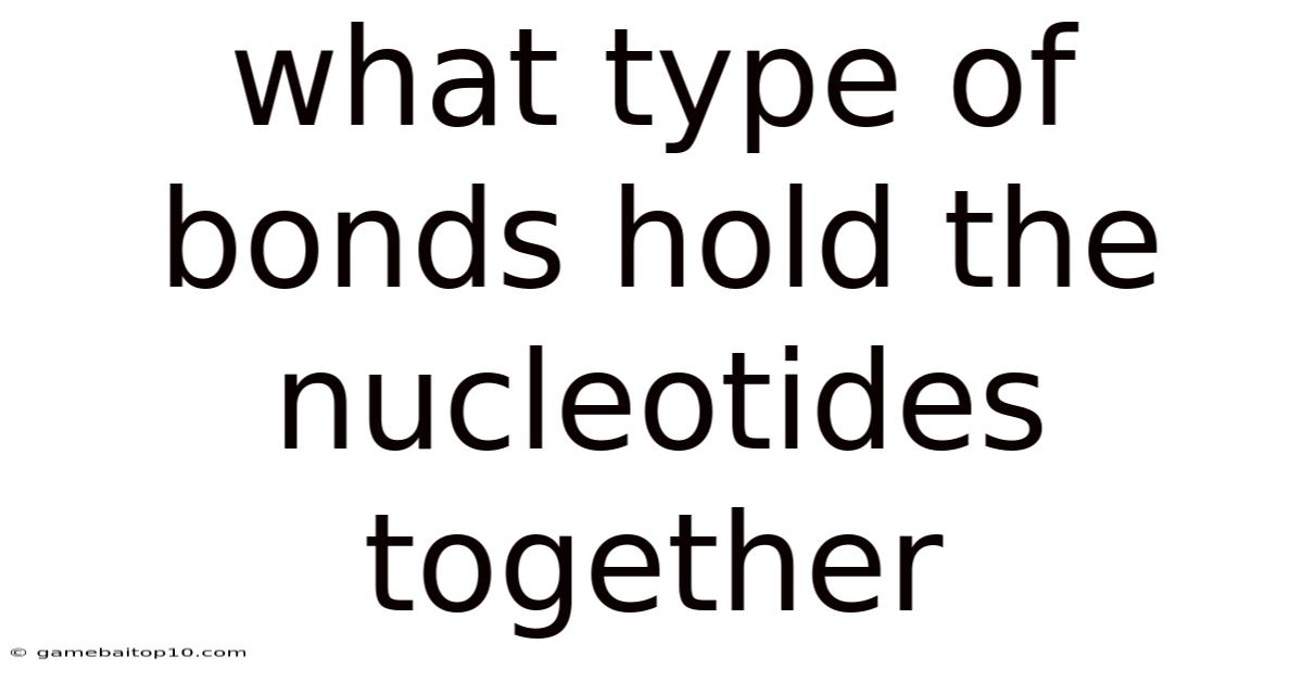 What Type Of Bonds Hold The Nucleotides Together