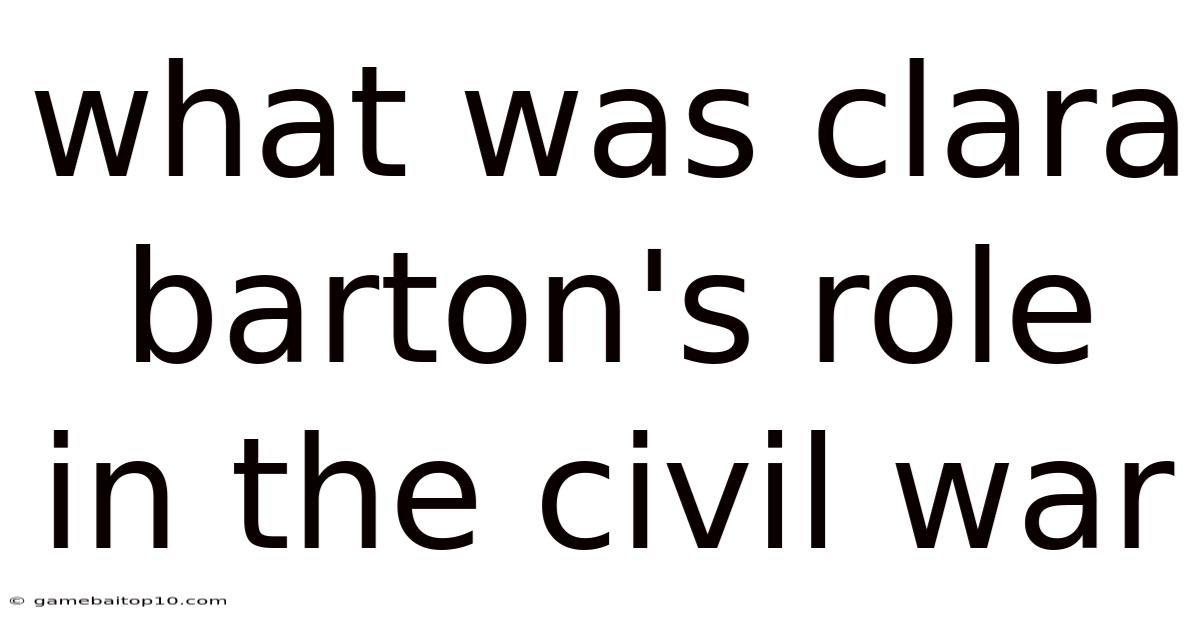What Was Clara Barton's Role In The Civil War