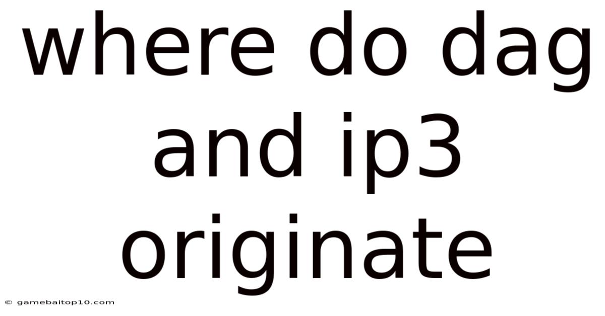 Where Do Dag And Ip3 Originate