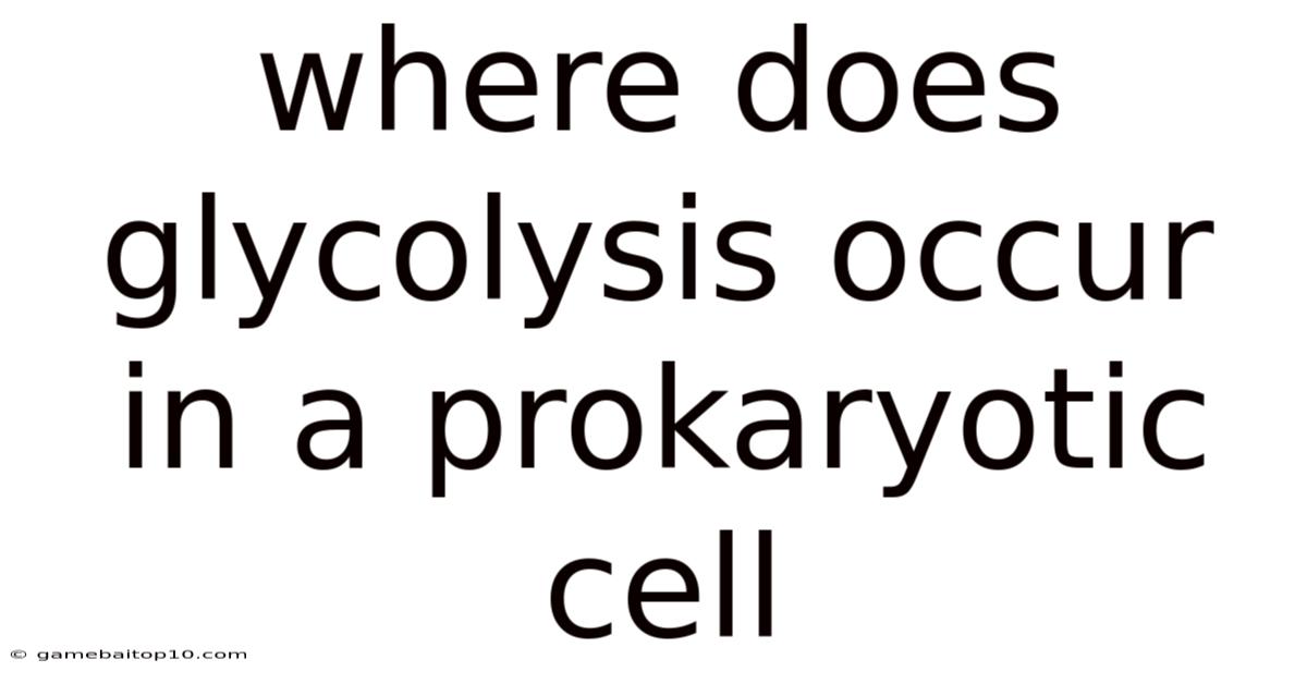 Where Does Glycolysis Occur In A Prokaryotic Cell