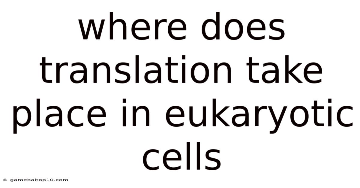 Where Does Translation Take Place In Eukaryotic Cells