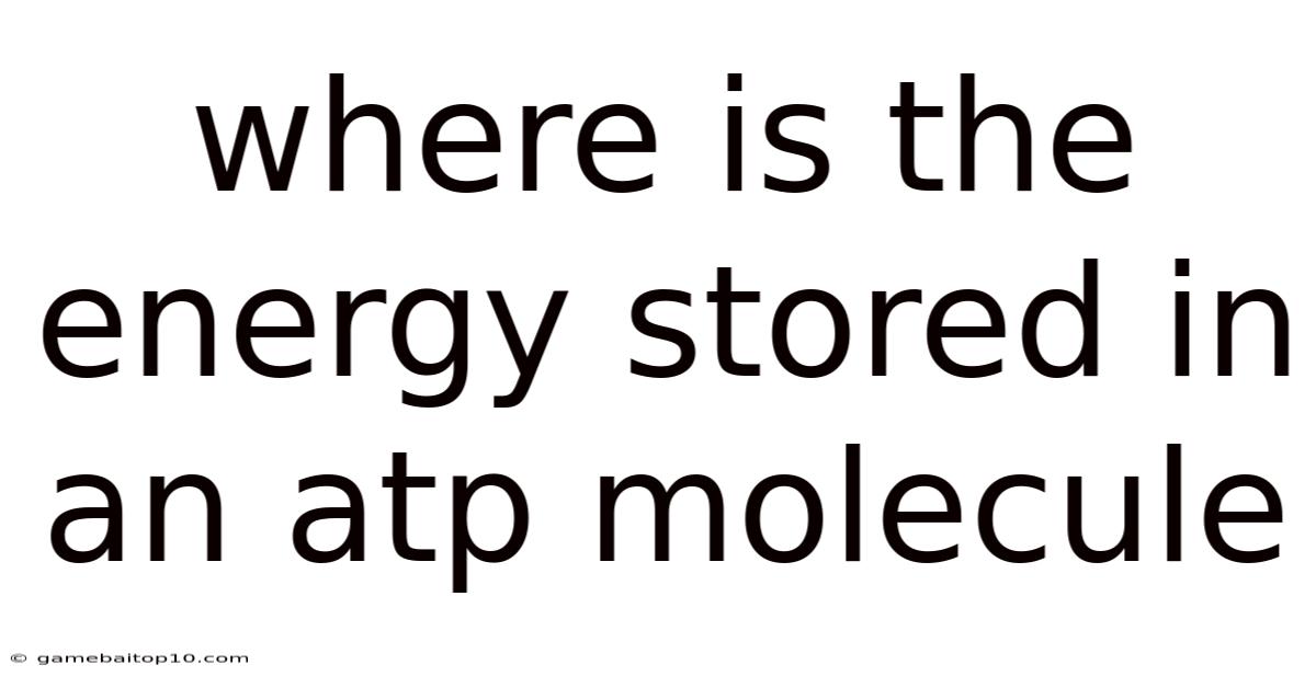Where Is The Energy Stored In An Atp Molecule