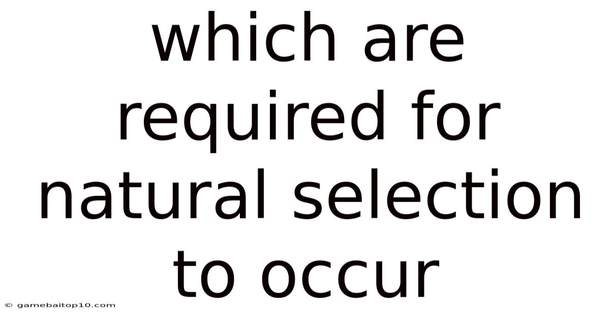 Which Are Required For Natural Selection To Occur