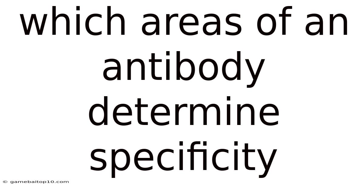 Which Areas Of An Antibody Determine Specificity