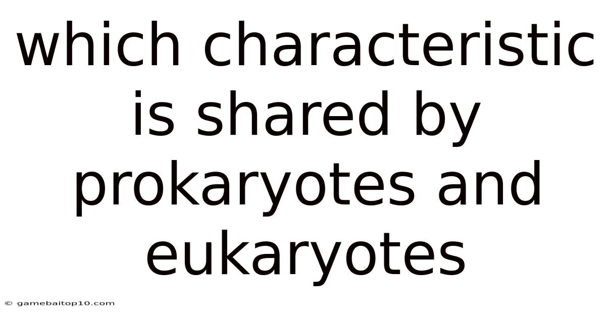 Which Characteristic Is Shared By Prokaryotes And Eukaryotes