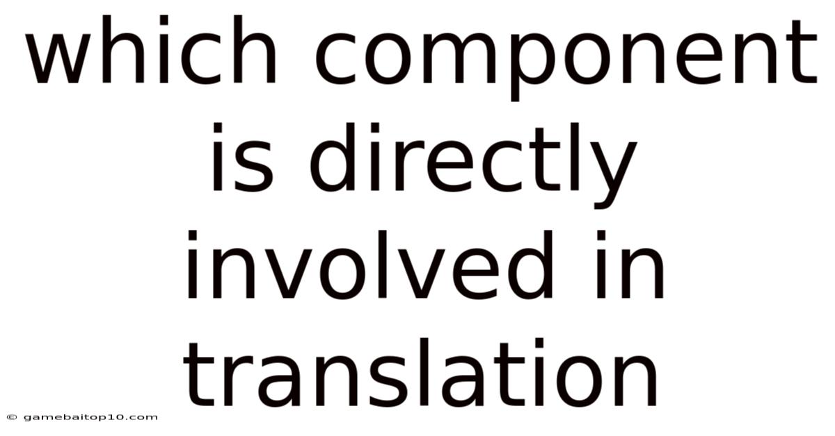 Which Component Is Directly Involved In Translation