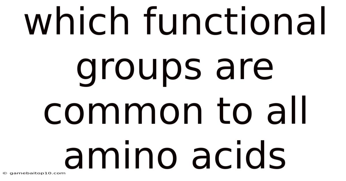 Which Functional Groups Are Common To All Amino Acids