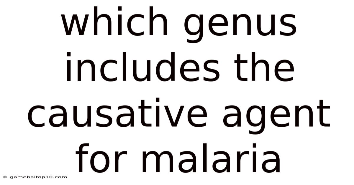 Which Genus Includes The Causative Agent For Malaria