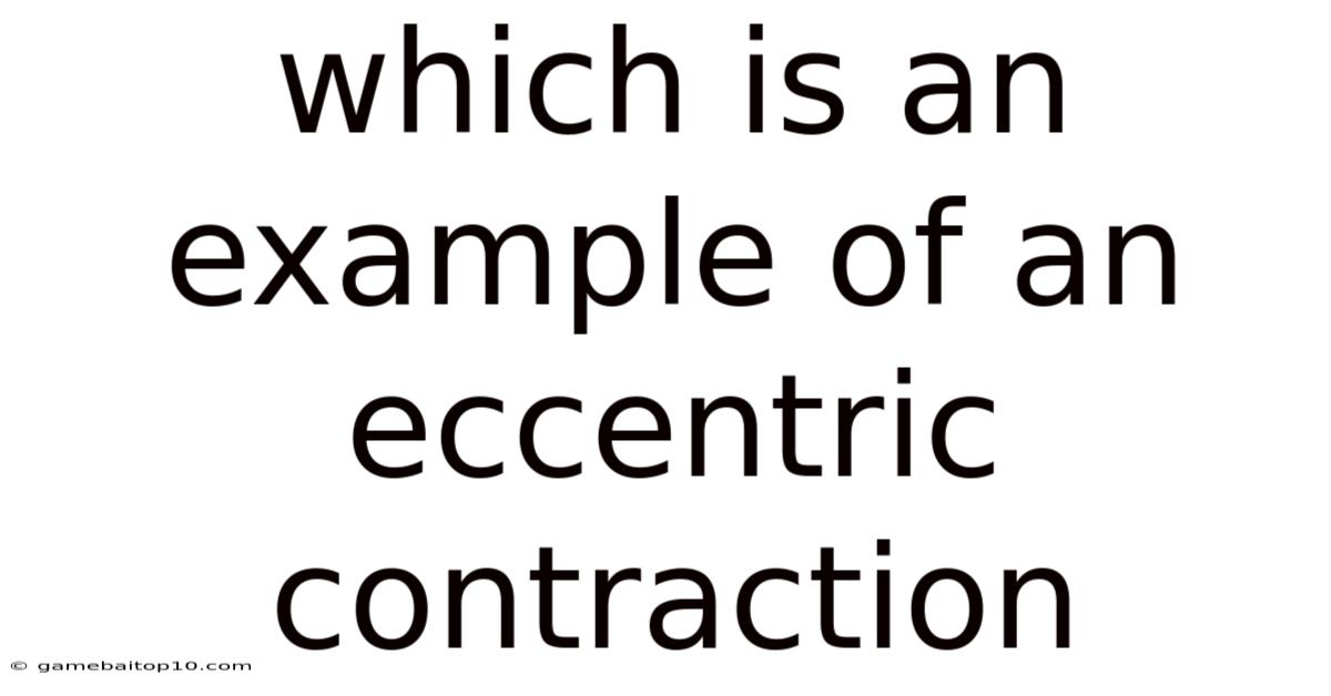 Which Is An Example Of An Eccentric Contraction