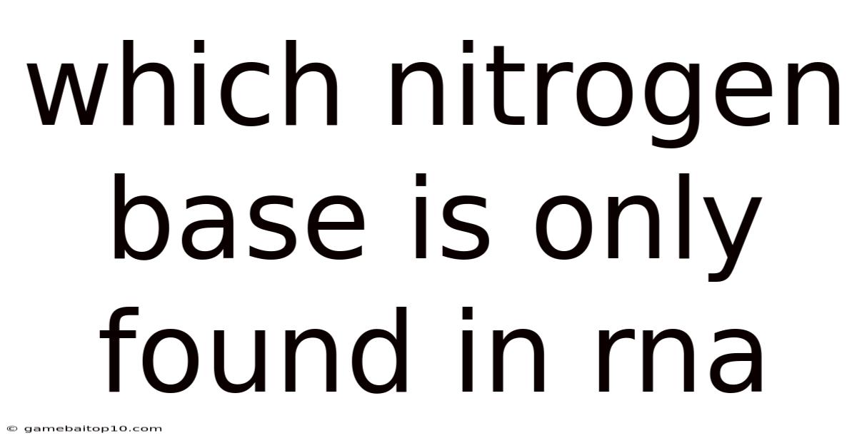 Which Nitrogen Base Is Only Found In Rna