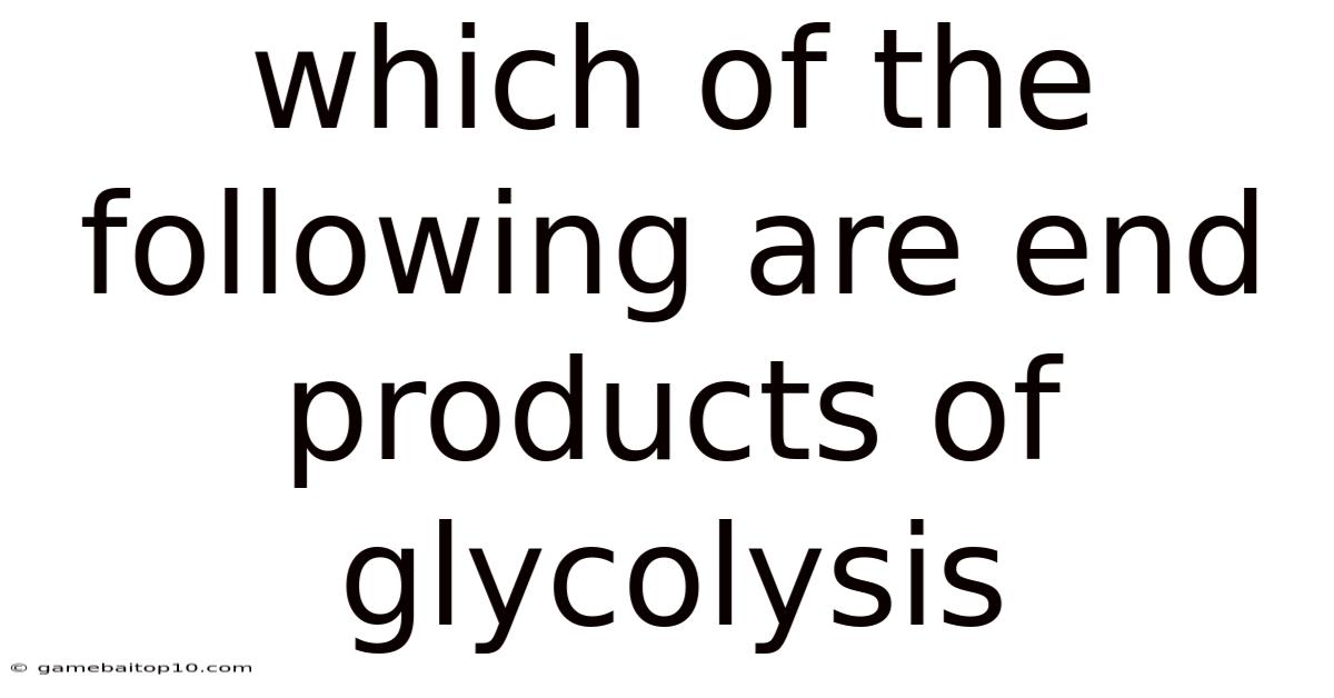 Which Of The Following Are End Products Of Glycolysis