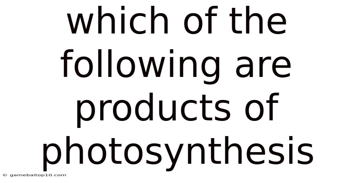 Which Of The Following Are Products Of Photosynthesis