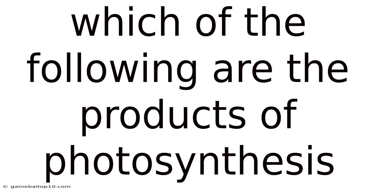 Which Of The Following Are The Products Of Photosynthesis