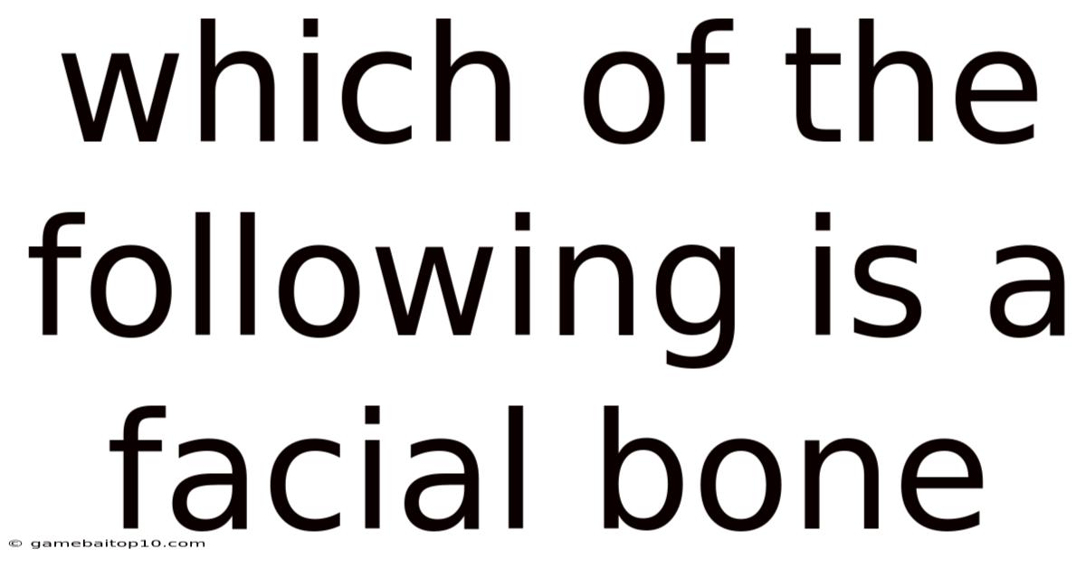 Which Of The Following Is A Facial Bone