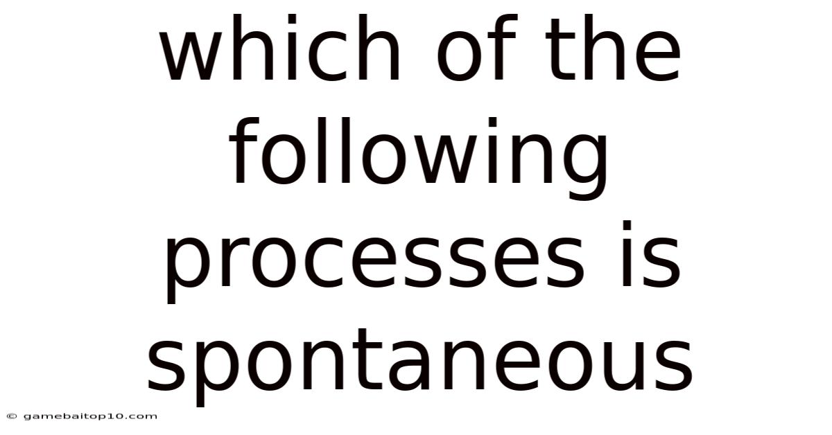 Which Of The Following Processes Is Spontaneous