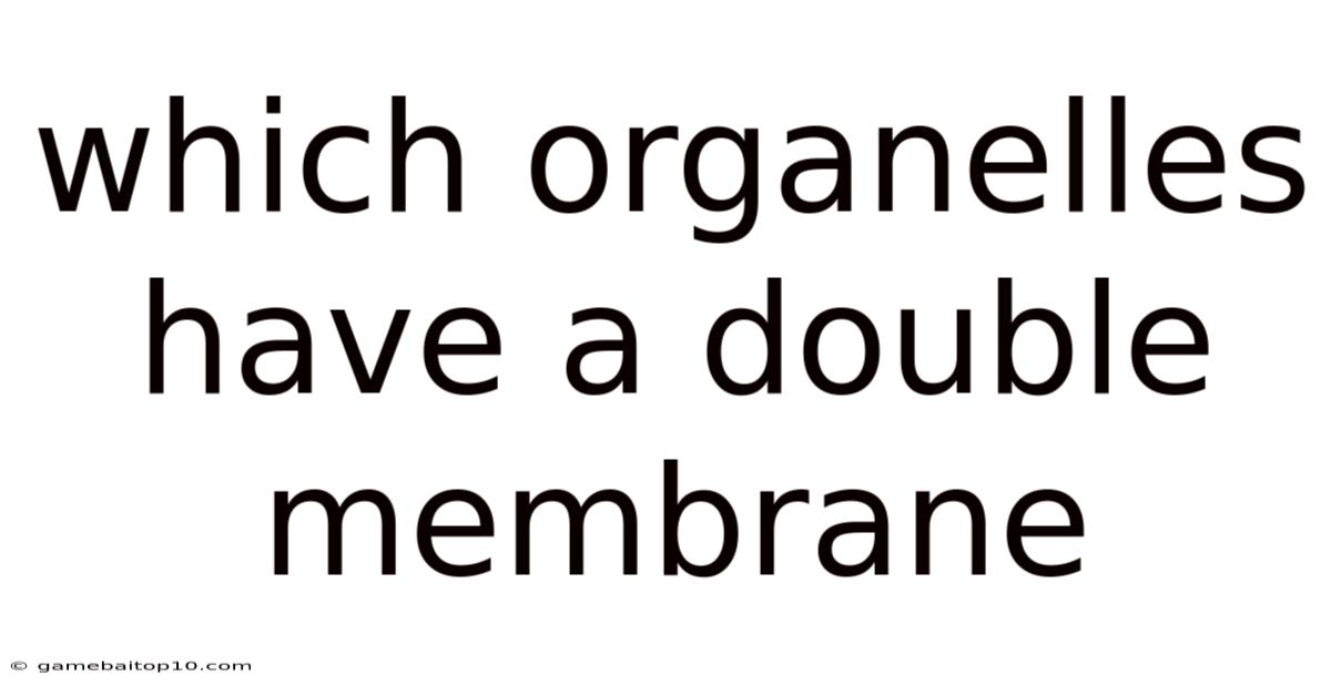 Which Organelles Have A Double Membrane